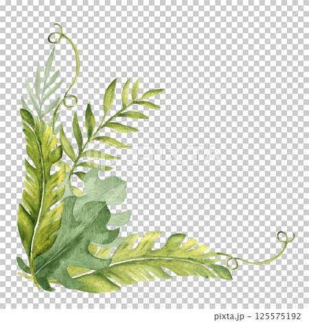 Tropical Leaves Corner Bouquet, Composition. Eucalyptus, Monstera and Banana Palm with Liana. Watercolor Composition. Hand drawn botanical illustration isolated on white background. For cards 125575192