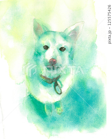テリアのミックス犬　透明水彩 125575426