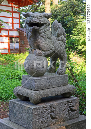 天津神社・奴奈川神社(糸魚川) 天津神社・奴奈川神社(糸魚川) 125575489