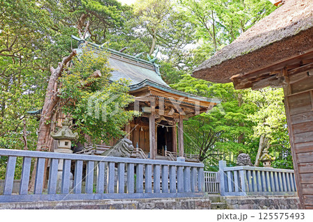 天津神社・奴奈川神社（糸魚川） 125575493