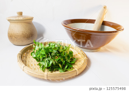 白を背景にザルの上の山椒の葉と味噌壺とすり鉢とすりこ木の写真 125575498
