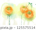 3つの柿　透明水彩 125575514