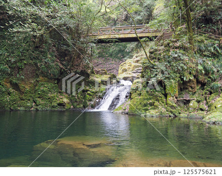 三重　赤目四十八滝　霊蛇滝 125575621