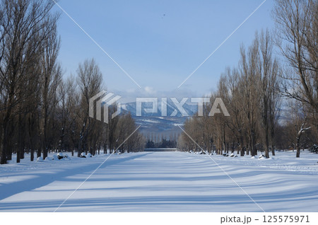 真冬の手稲前田森林公園から見る手稲山 真冬の手稲前田森林公園から見る手稲山 125575971