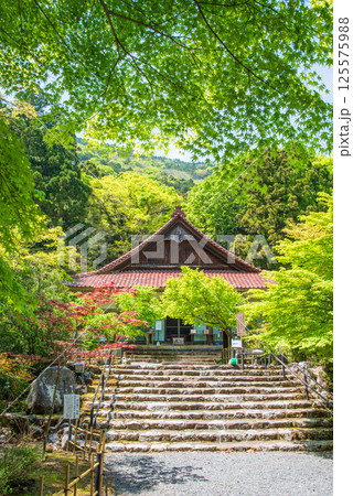聖宝寺の新緑(三重県いなべ市) 聖宝寺の新緑(三重県いなべ市) 125575988