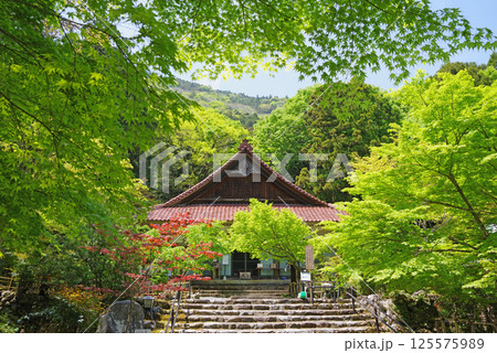 聖宝寺の新緑（三重県いなべ市） 125575989