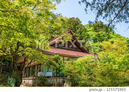 聖宝寺の新緑（三重県いなべ市） 125575993