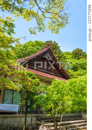 聖宝寺の新緑(三重県いなべ市) 聖宝寺の新緑(三重県いなべ市) 125575996