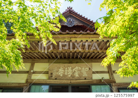 聖宝寺の新緑(三重県いなべ市) 聖宝寺の新緑(三重県いなべ市) 125575997