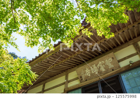 聖宝寺の新緑(三重県いなべ市) 聖宝寺の新緑(三重県いなべ市) 125575998