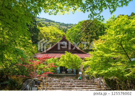 聖宝寺の新緑(三重県いなべ市) 聖宝寺の新緑(三重県いなべ市) 125576002