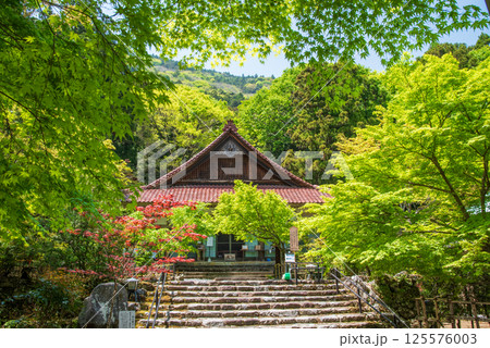 聖宝寺の新緑(三重県いなべ市) 聖宝寺の新緑(三重県いなべ市) 125576003