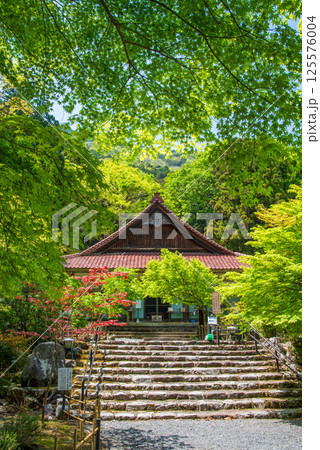 聖宝寺の新緑（三重県いなべ市） 125576004