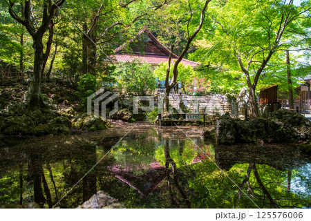 聖宝寺の新緑(三重県いなべ市) 聖宝寺の新緑(三重県いなべ市) 125576006