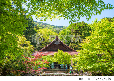 聖宝寺の新緑（三重県いなべ市） 125576019