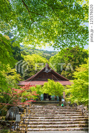 聖宝寺の新緑（三重県いなべ市） 125576020