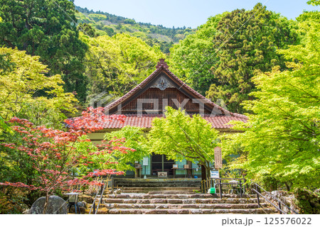 聖宝寺の新緑（三重県いなべ市） 125576022