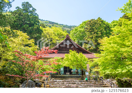 聖宝寺の新緑（三重県いなべ市） 125576023
