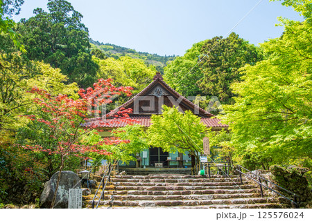 聖宝寺の新緑(三重県いなべ市) 聖宝寺の新緑(三重県いなべ市) 125576024