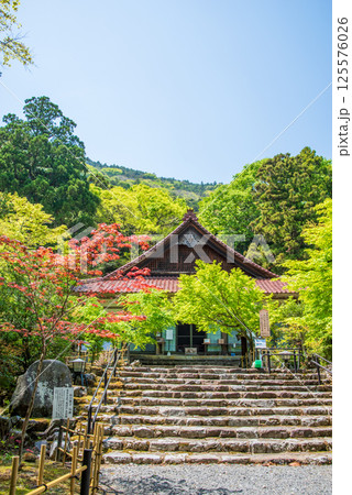 聖宝寺の新緑(三重県いなべ市) 聖宝寺の新緑(三重県いなべ市) 125576026