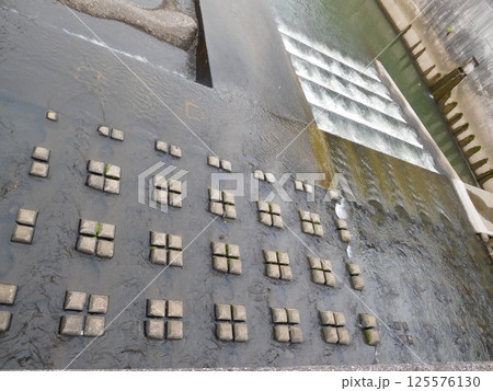 鶴ヶ峰　帷子川 125576130