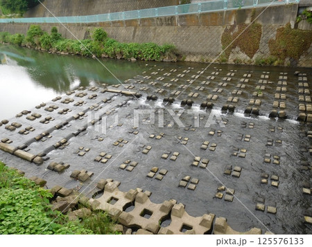鶴ヶ峰　帷子川 125576133