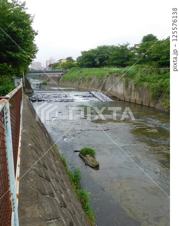 鶴ヶ峰　帷子川 125576138
