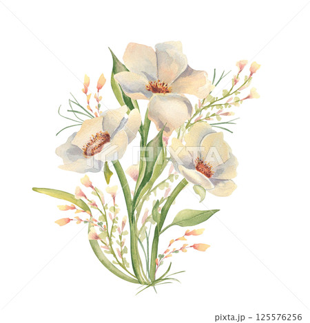 Floral illustration of creamy anemones on stems and soft tiny wildflowers watercolor isolated. White wild roses and foliage hand drawn for wedding stationery, greeting cards, feminine branding. Floral illustration of creamy anemones on stems and soft tiny wildflowers watercolor isolated. White wild roses and foliage hand drawn for wedding stationery, greeting cards, feminine branding. 125576256