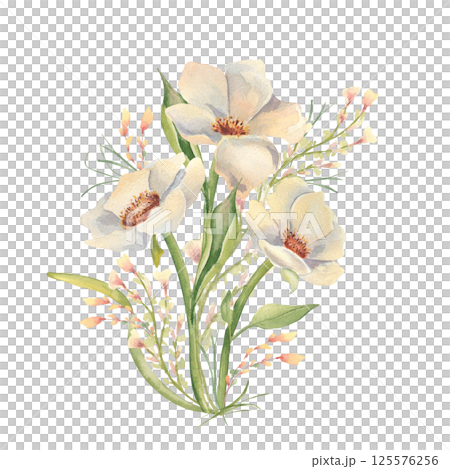Floral illustration of creamy anemones on stems and soft tiny wildflowers watercolor isolated. White wild roses and foliage hand drawn for wedding stationery, greeting cards, feminine branding. Floral illustration of creamy anemones on stems and soft tiny wildflowers watercolor isolated. White wild roses and foliage hand drawn for wedding stationery, greeting cards, feminine branding. 125576256