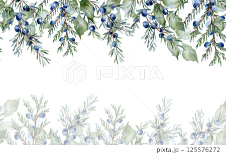 Watercolor foliage border in sage green with holly leaves and juniper twigs isolated. Elegant botanical greenery texture for banners, templates, and invitations. Soft pastel vines repeated background. Watercolor foliage border in sage green with holly leaves and juniper twigs isolated. Elegant botanical greenery texture for banners, templates, and invitations. Soft pastel vines repeated background. 125576272