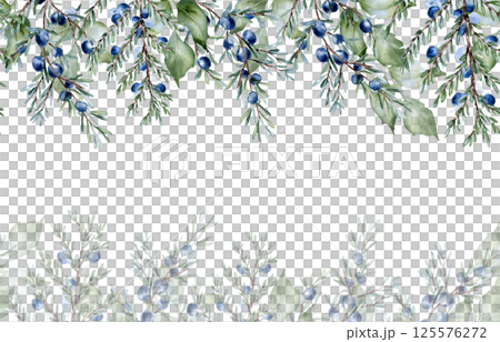 Watercolor foliage border in sage green with holly leaves and juniper twigs isolated. Elegant botanical greenery texture for banners, templates, and invitations. Soft pastel vines repeated background. 125576272