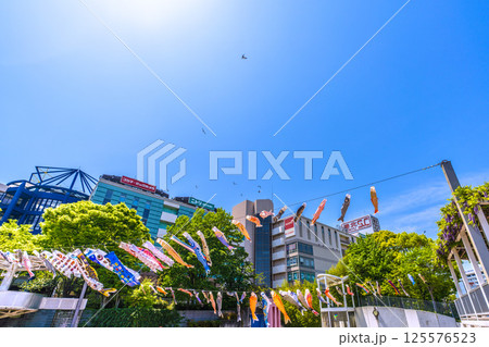 日本の横浜都市景観　地下鉄　「センター南駅」前の鯉のぼりなどを望む 125576523