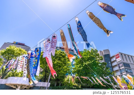 日本の横浜都市景観　地下鉄　「センター南駅」前の鯉のぼりなどを望む 125576531