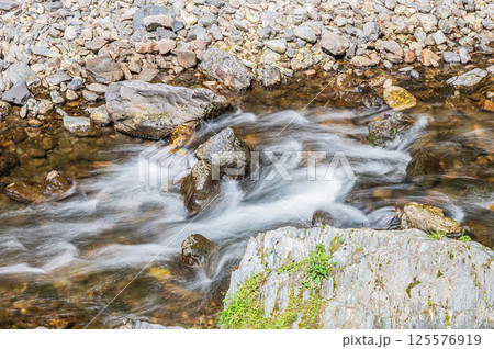 清滝川　京都市 125576919
