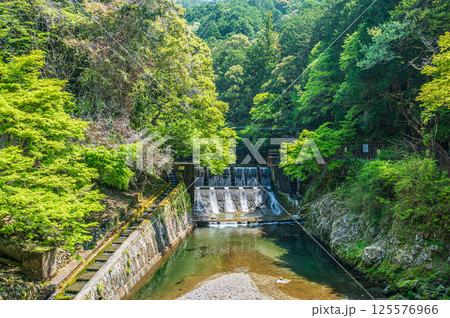 清滝川の発電所取水堰 京都市 清滝川の発電所取水堰 京都市 125576966