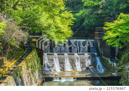 清滝川の発電所取水堰 京都市 清滝川の発電所取水堰 京都市 125576967