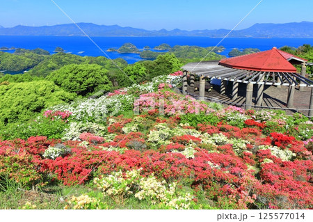【長崎県】晴天の長串山公園と満開のツツジ(長串山つつじまつり) 【長崎県】晴天の長串山公園と満開のツツジ(長串山つつじまつり) 125577014