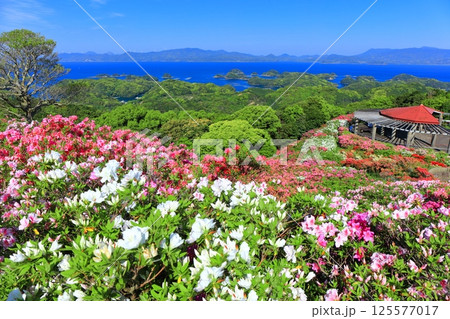 【長崎県】晴天の長串山公園と満開のツツジ（長串山つつじまつり） 125577017