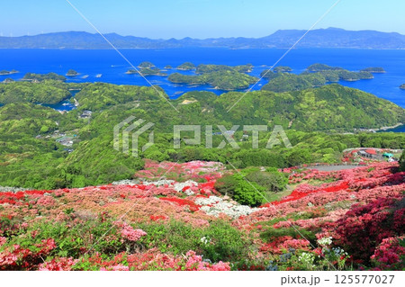 【長崎県】晴天の長串山公園と満開のツツジ(長串山つつじまつり) 【長崎県】晴天の長串山公園と満開のツツジ(長串山つつじまつり) 125577027