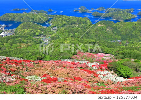 【長崎県】晴天の長串山公園と満開のツツジ(長串山つつじまつり) 【長崎県】晴天の長串山公園と満開のツツジ(長串山つつじまつり) 125577034
