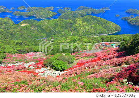 【長崎県】晴天の長串山公園と満開のツツジ(長串山つつじまつり) 【長崎県】晴天の長串山公園と満開のツツジ(長串山つつじまつり) 125577038