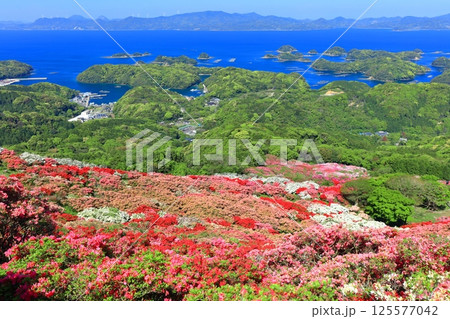 【長崎県】晴天の長串山公園と満開のツツジ（長串山つつじまつり） 125577042