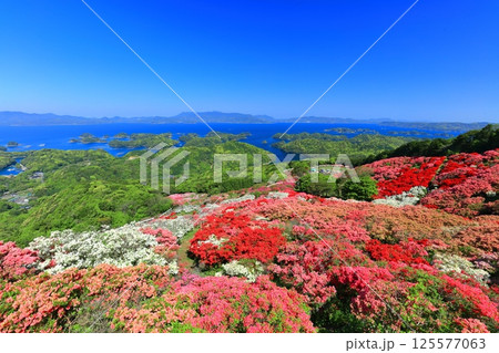 【長崎県】晴天の長串山公園と満開のツツジ（長串山つつじまつり） 125577063