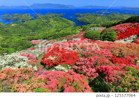 【長崎県】晴天の長串山公園と満開のツツジ（長串山つつじまつり） 125577064