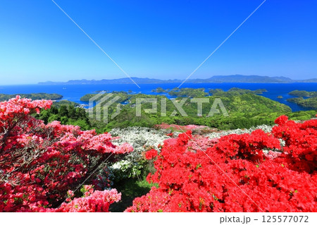【長崎県】晴天の長串山公園と満開のツツジ（長串山つつじまつり） 125577072