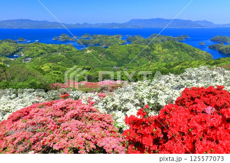 【長崎県】晴天の長串山公園と満開のツツジ（長串山つつじまつり） 125577073