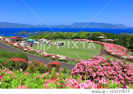 【長崎県】晴天の長串山公園と満開のツツジ(長串山つつじまつり) 【長崎県】晴天の長串山公園と満開のツツジ(長串山つつじまつり) 125577077