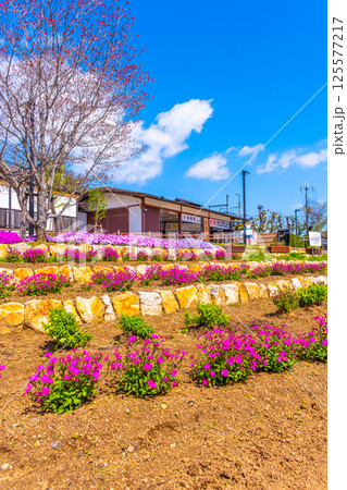 近鉄の飛鳥駅と花壇 125577217