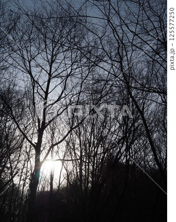 高原で過ごすひととき 125577250