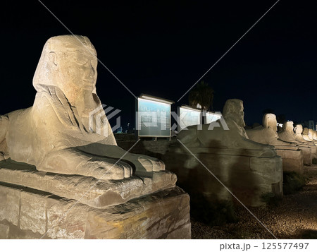 ルクソール神殿の前のスフィンクス、世界文化遺産 ルクソール神殿の前のスフィンクス、世界文化遺産 125577497